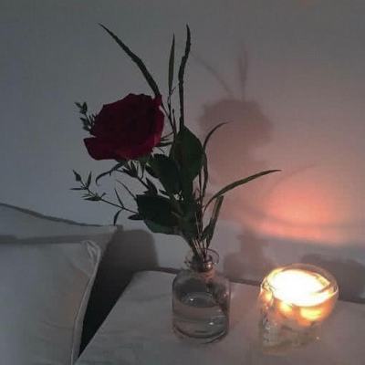 金博宝手机app下载截图